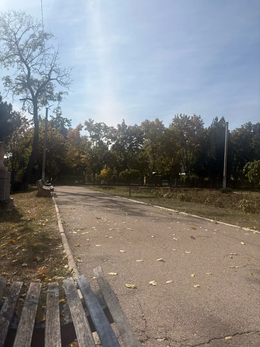 Imaginea postării 1