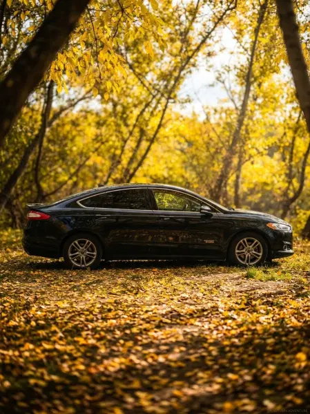 Ford Fusion, 2016