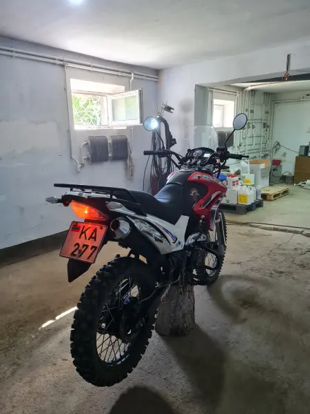 Peda b10