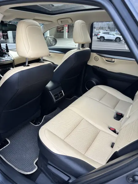 Lexus NX, 2018