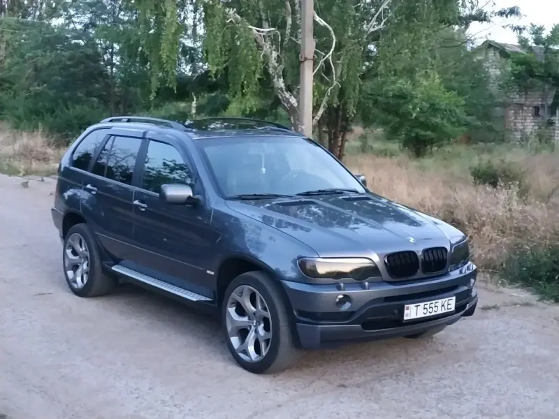 BMW X5, 2004