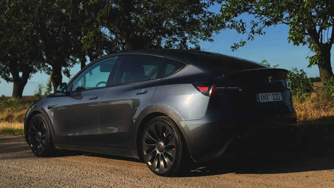 TESLA Y, 2022
