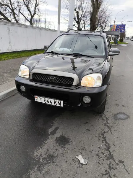 Hyundai Santa Fe, 2004