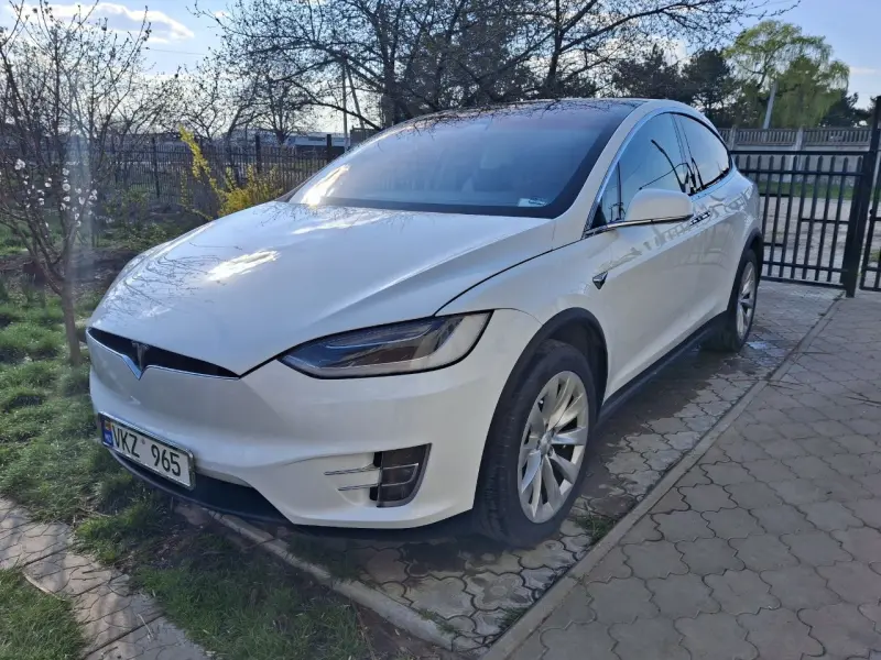 TESLA X, 2019