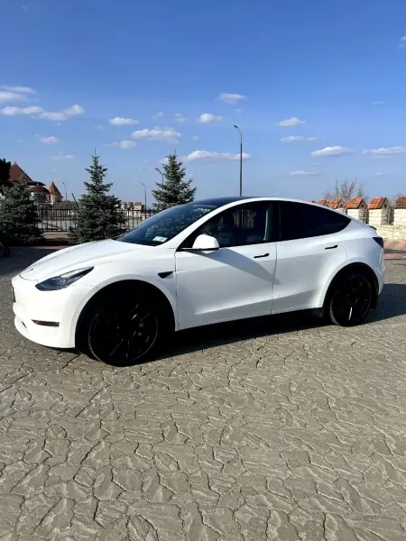 TESLA Y, 2021