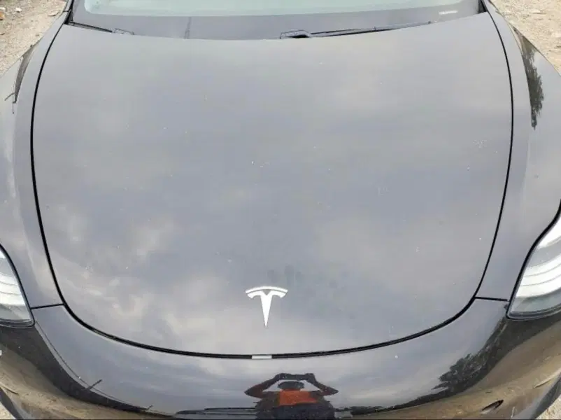 TESLA 3, 2019