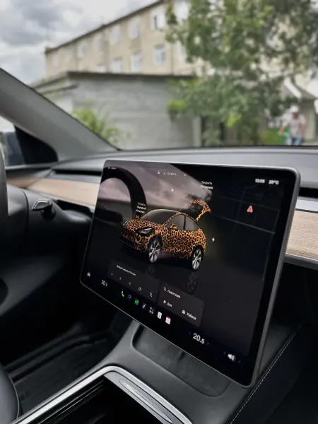 TESLA Y, 2023
