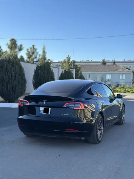 TESLA 3, 2021