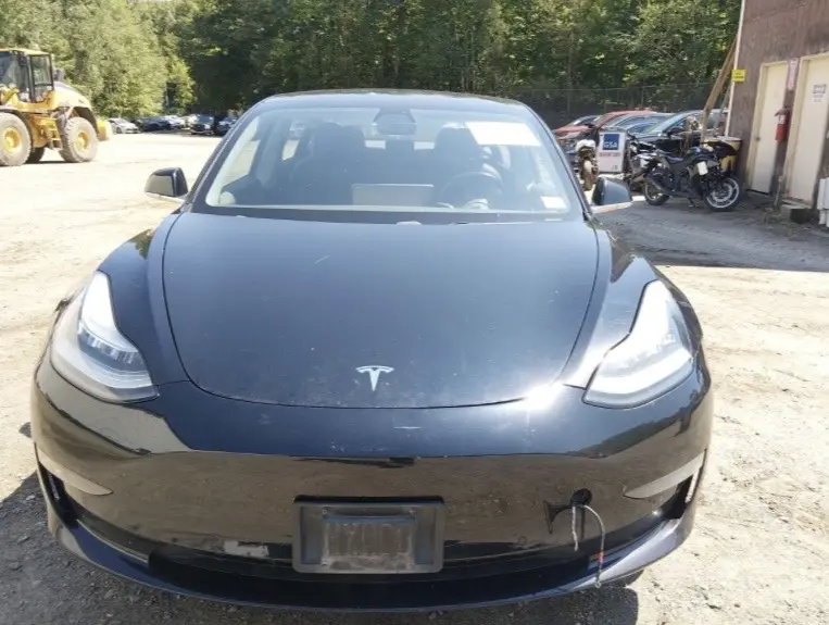 TESLA 3, 2019