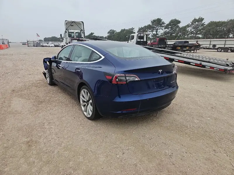 TESLA 3, 2019