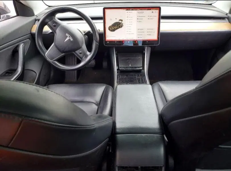 TESLA 3, 2019