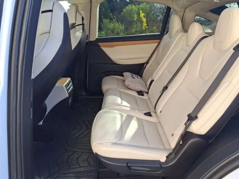 TESLA X, 2019