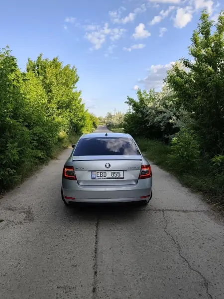 Skoda Octavia, 2020