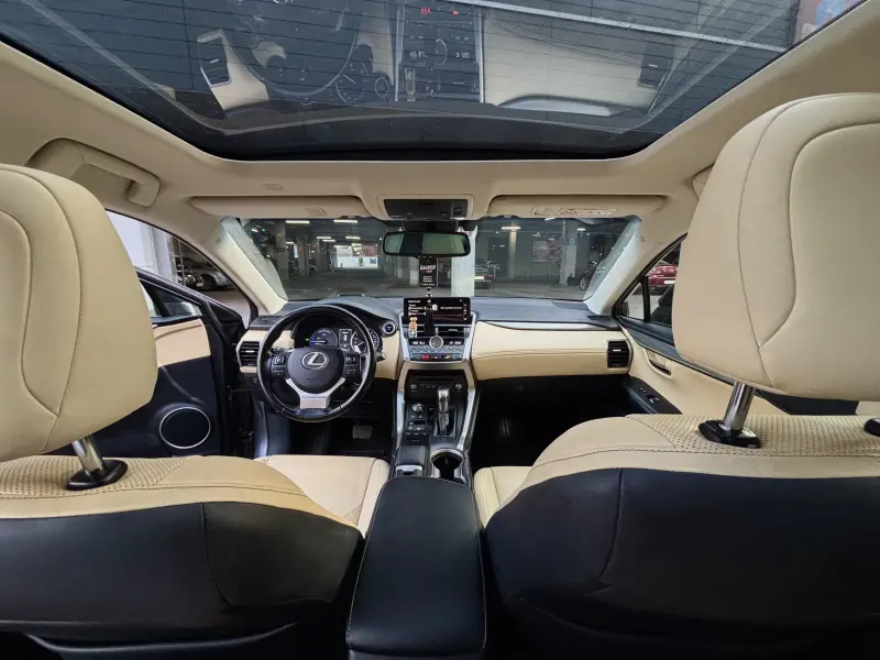 Lexus NX, 2018