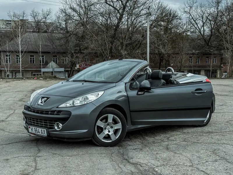 Peugeot 207, 2009