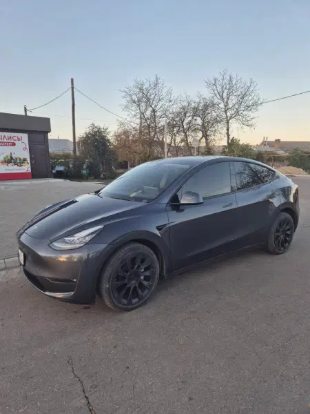 TESLA Y, 2021