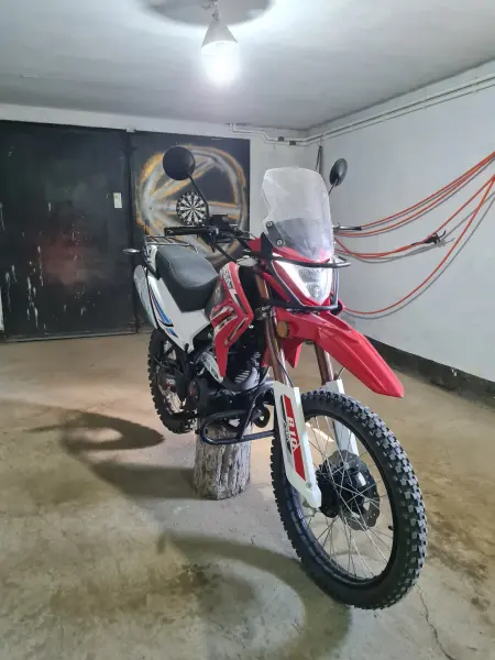 Peda b10