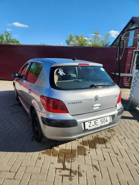 Peugeot 307, 2002