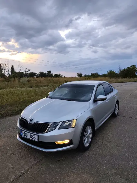 Skoda Octavia, 2020