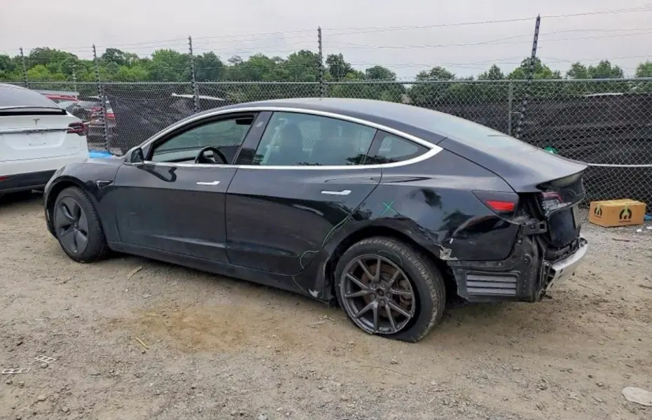 TESLA 3, 2019