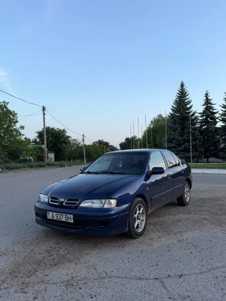 Nissan Primera, 2000