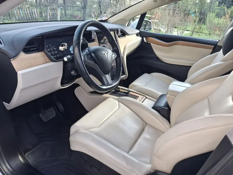 TESLA X, 2019