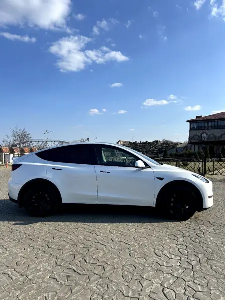 TESLA Y, 2021