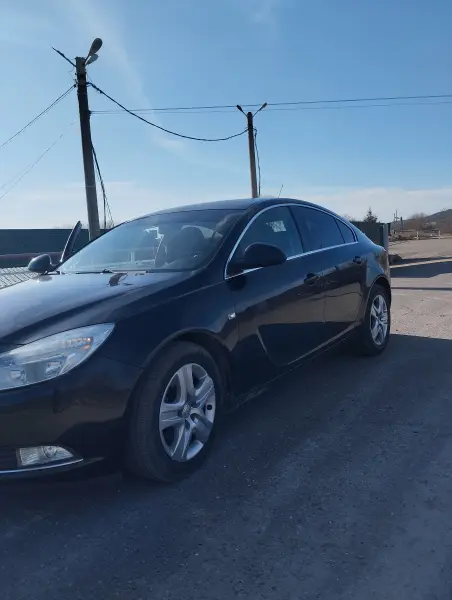Opel Insignia, 2010