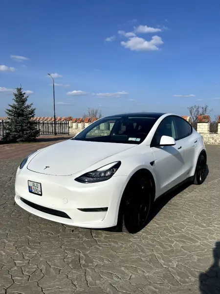 TESLA Y, 2021