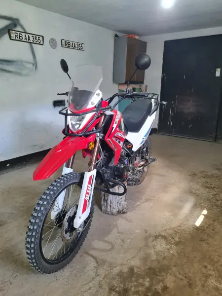 Peda b10