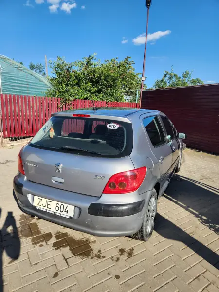 Peugeot 307, 2002