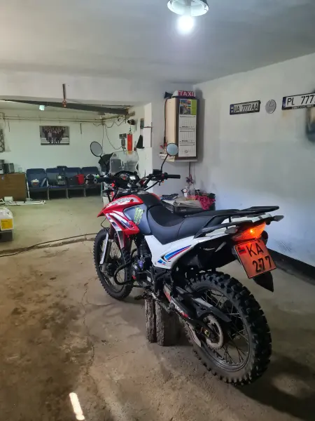 Peda b10