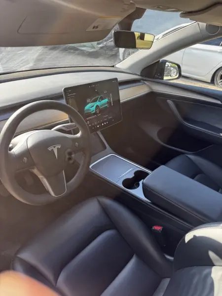 TESLA Y, 2023