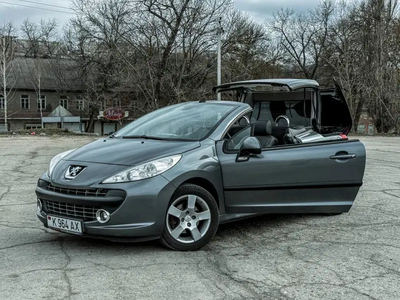 Peugeot 207, 2009