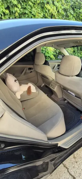 Toyota Camry, 2009