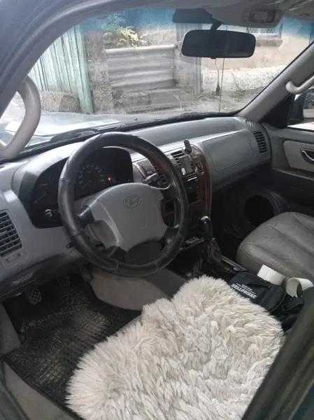 Hyundai Terracan, 2004