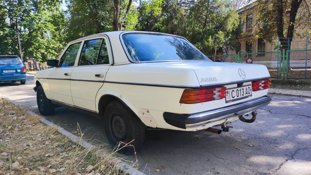 Mercedes-Benz W123, 1978