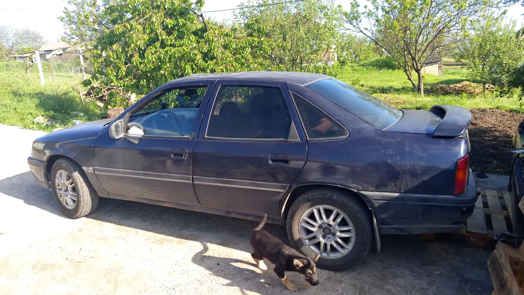 Opel Vectra, 1993
