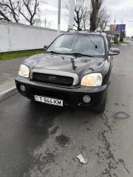 Hyundai Santa Fe, 2004