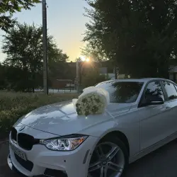 BMW 3 Series, 2014