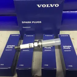 Свечи Volvo, Диагностика электроники