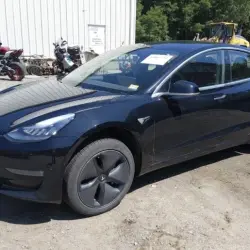 TESLA 3, 2019