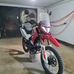 Peda b10