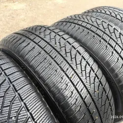 225/55 R17 зима