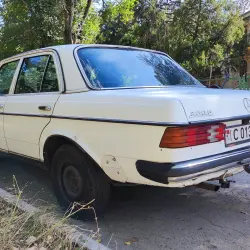 Mercedes-Benz W123, 1978